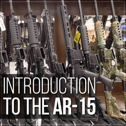 Introduction to the AR-15